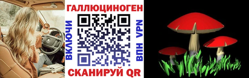 Псилоцибиновые грибы ЛСД  блэк спрут онион  Холм 